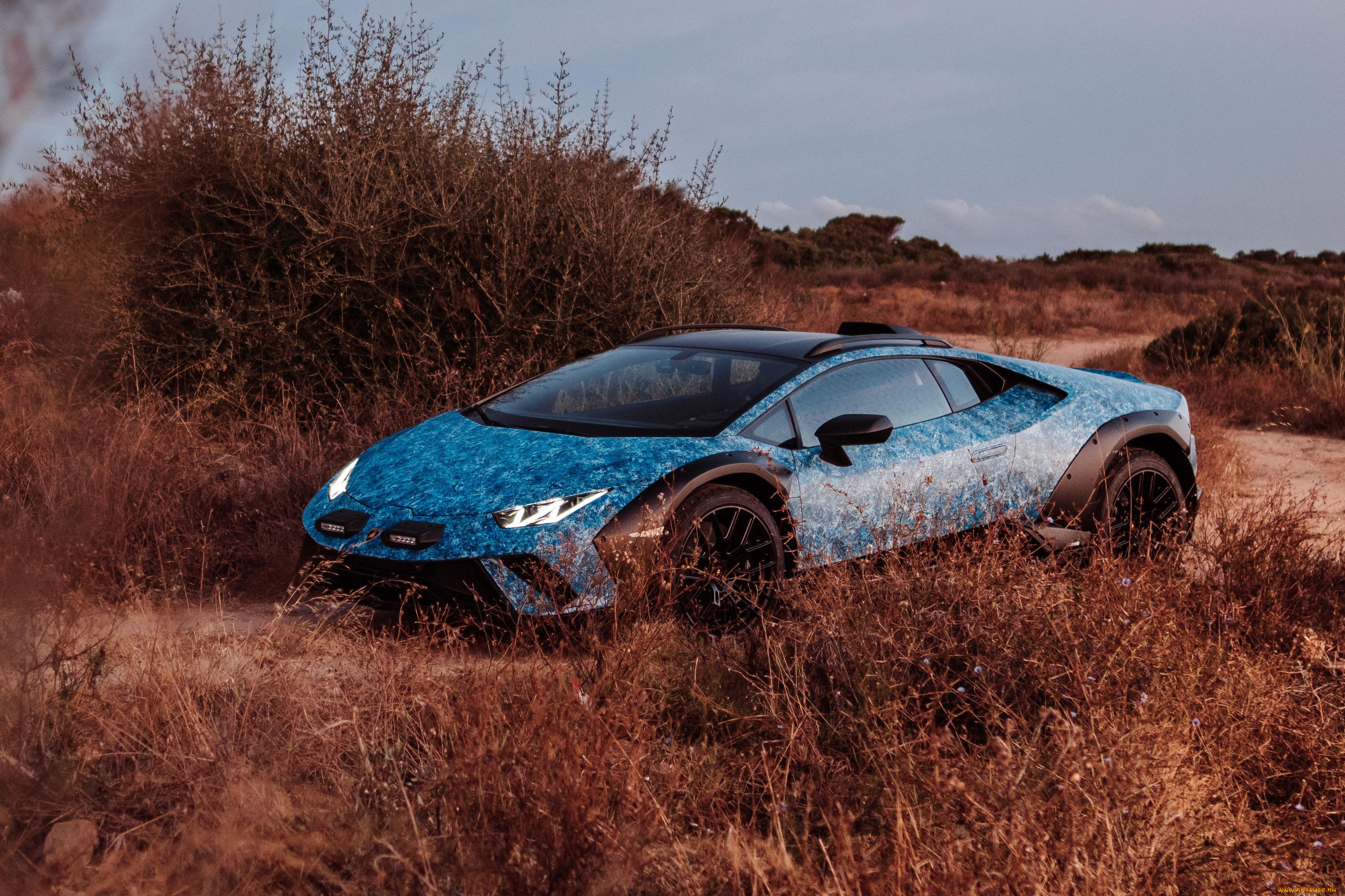 , lamborghini